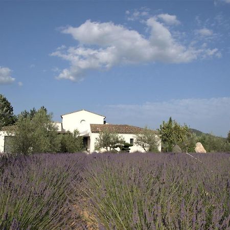 Villa Otilia-Bed And Breakfast-Chambres D'Hotes En Provence Rians  Ngoại thất bức ảnh