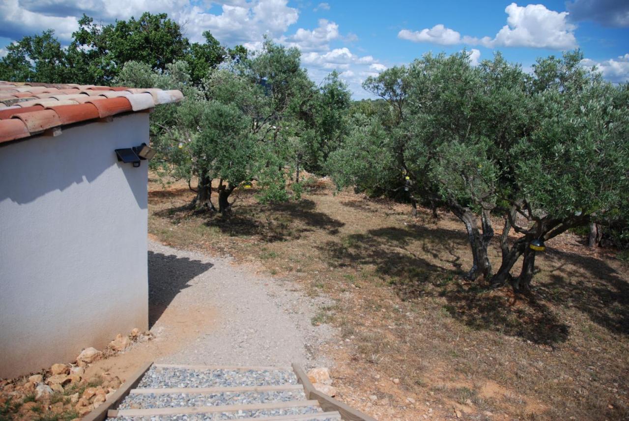 Villa Otilia-Bed And Breakfast-Chambres D'Hotes En Provence Rians  Ngoại thất bức ảnh